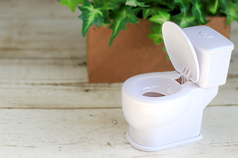 トイレが近い・血尿が出る